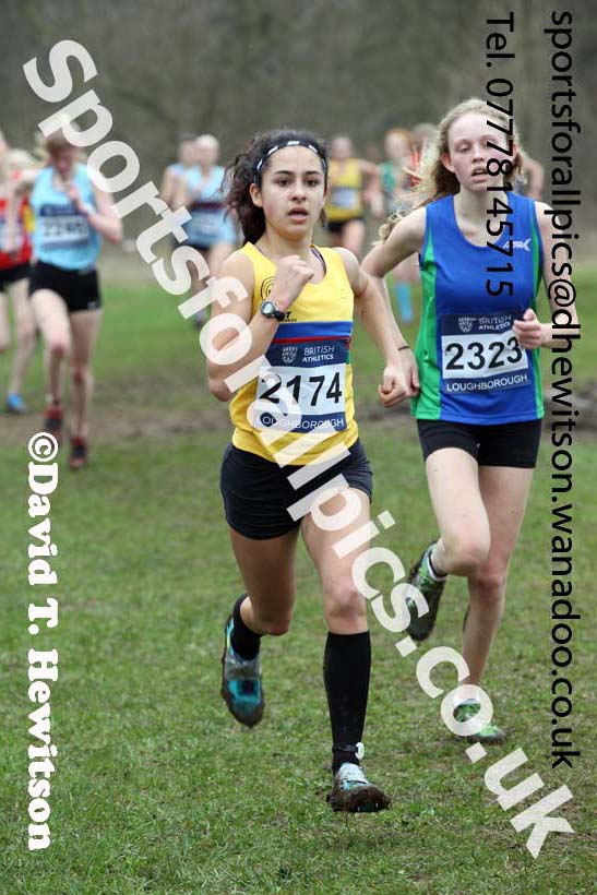 Womens under-17s Inter Counties Cross Country, Prestwold Hall, Loughborough. Photo: David T. Hewitson/Sports for All Pics